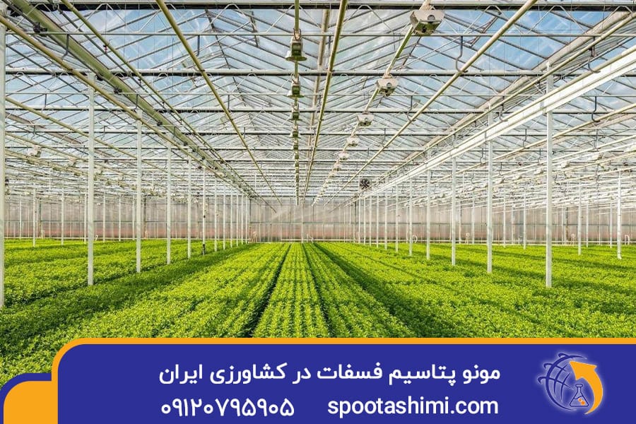 مونو پتاسیم فسفات در کشاورزی ایران