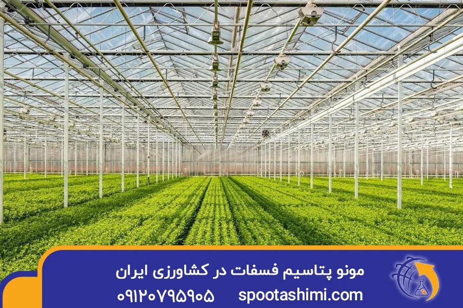 مونو پتاسیم فسفات در کشاورزی ایران