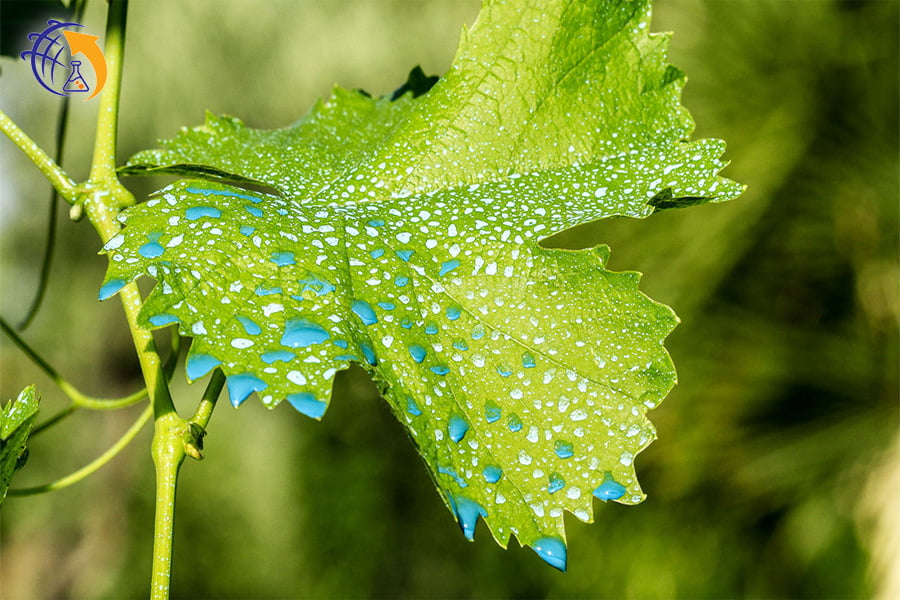 سولفات مس یا کات کبود چیست